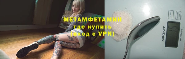 индика Абаза