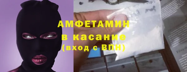 индика Абаза