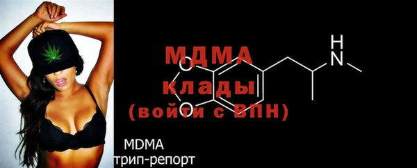индика Абаза