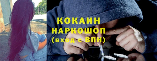 индика Абаза